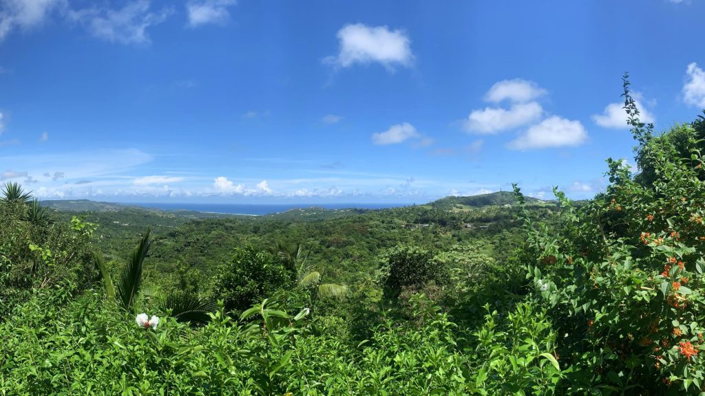 View from Flower Forest overlooking the east coast of Barbados