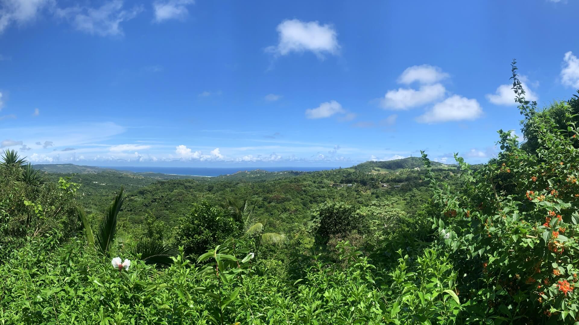 View from Flower Forest overlooking the east coast of Barbados