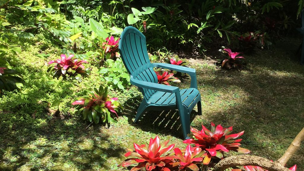 Empty seat in a tropical botanical garden